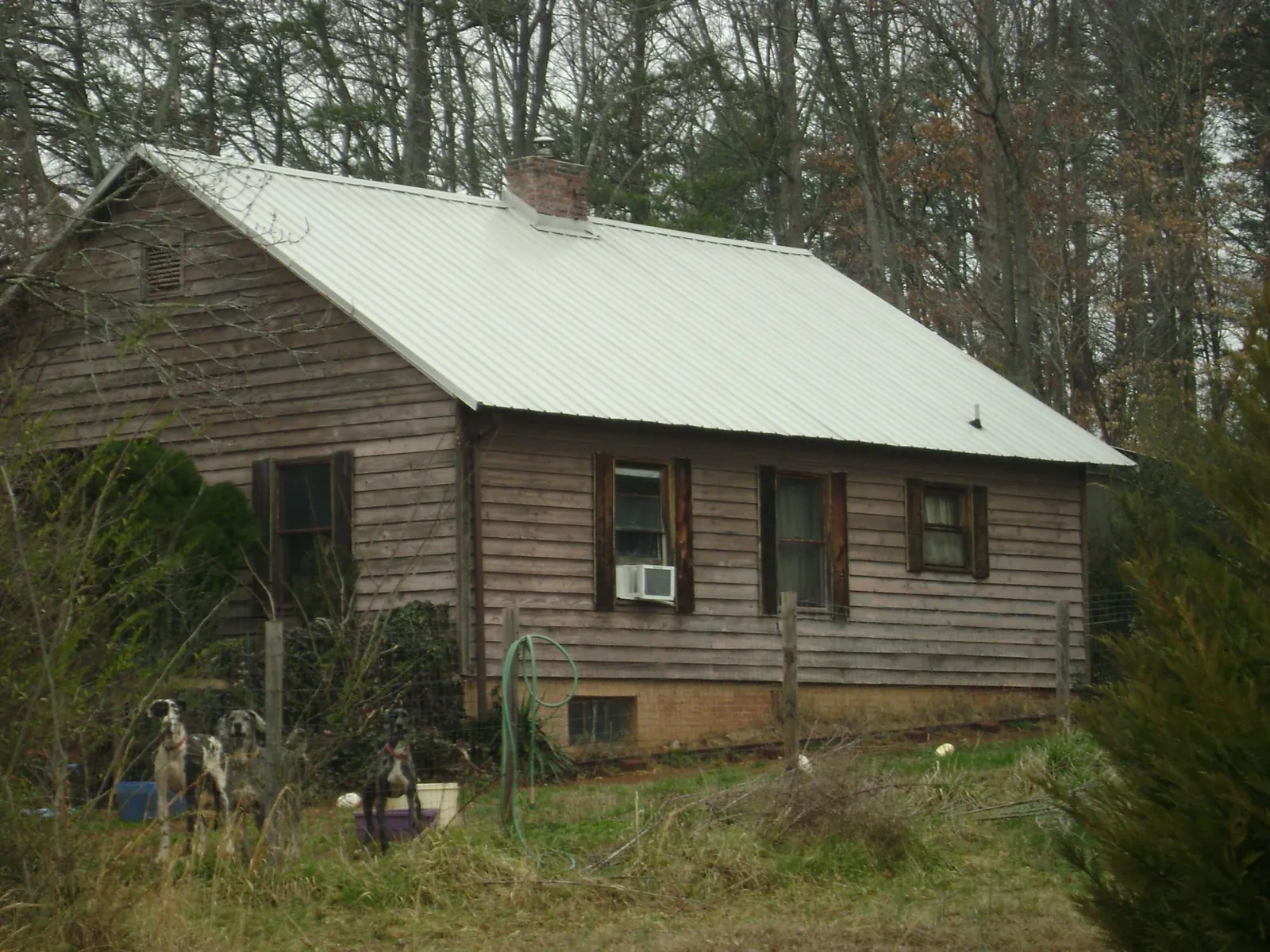 White metal roof on an old wood sided farmhouse, from a Asphalt Shingle Roof Repair job in Moshannon